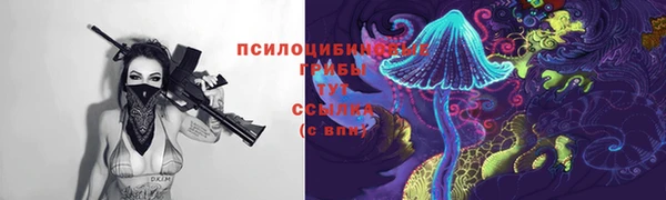 2c-b Кулебаки