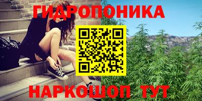 марихуана Аргун