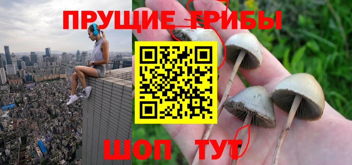 Галлюциногенные грибы Magic Shrooms  Вход с VPN  Керчь 