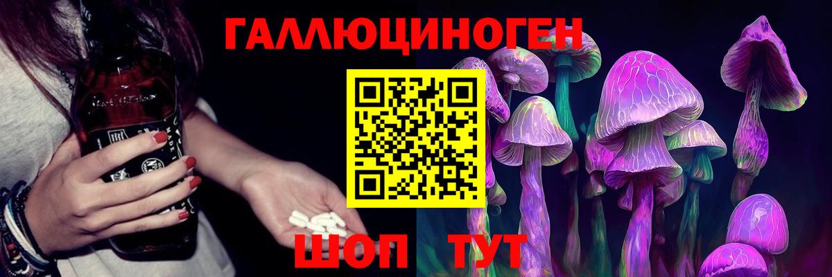 Псилоцибиновые грибы мицелий Керчь